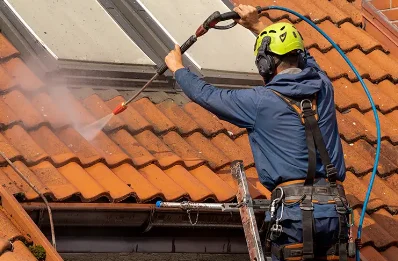 Démoussage et hydrofuge de toiture à Genté